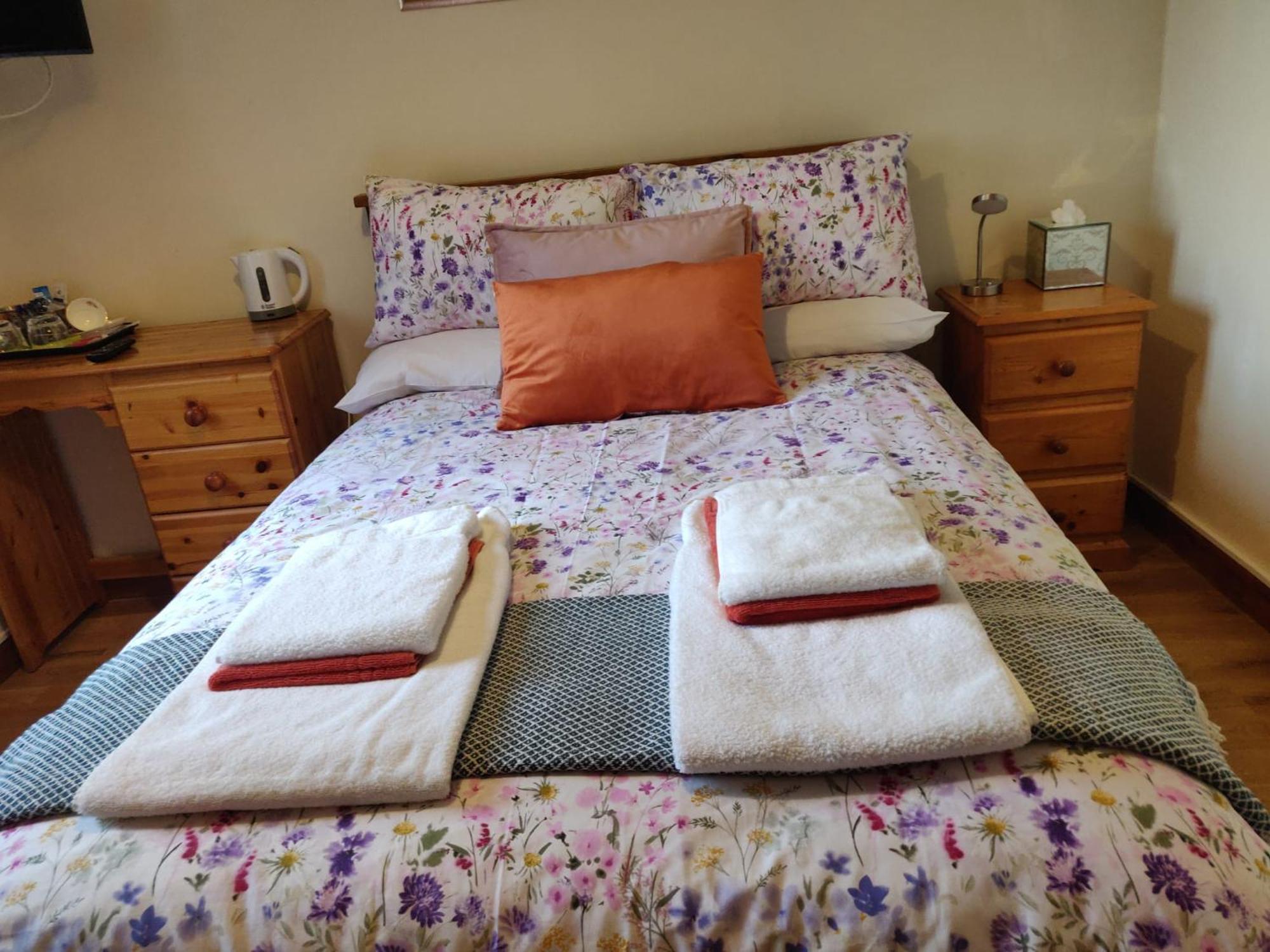 Lisheenanoran Beech Lodge B&B מראה חיצוני תמונה